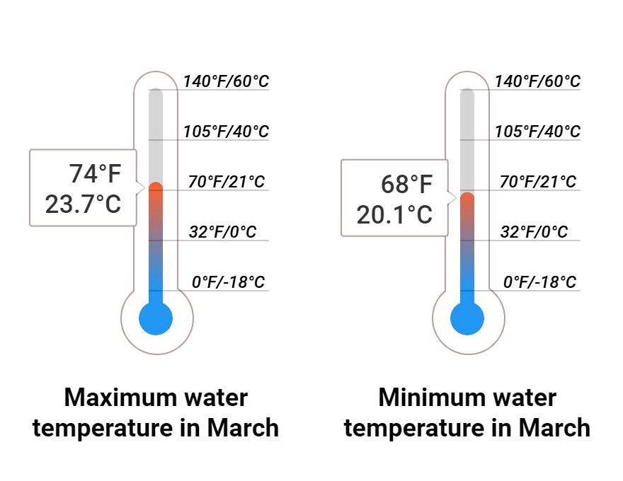 Average Sea temperature